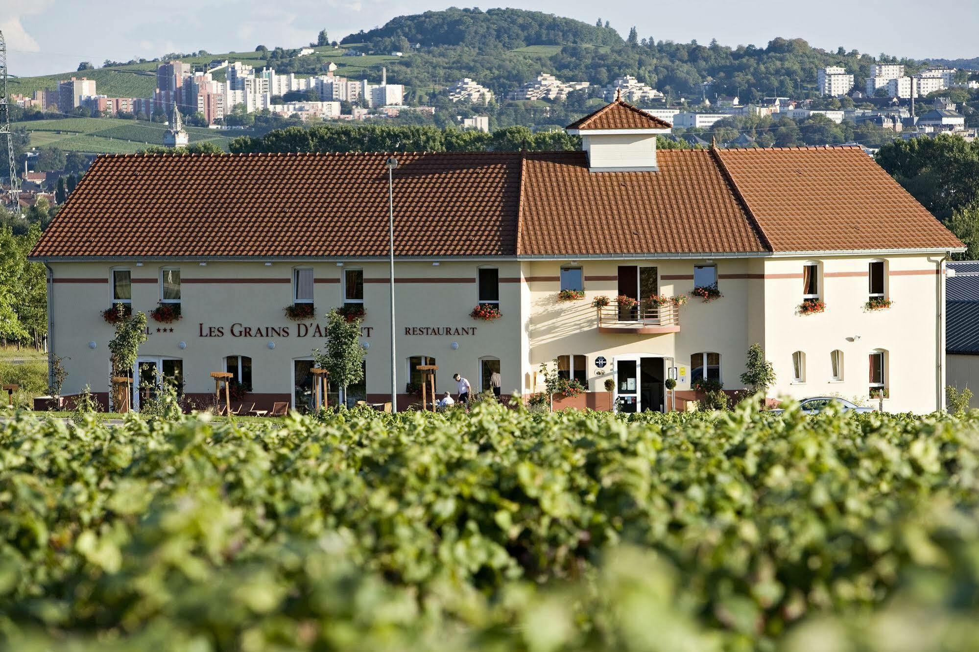 Hotel Restaurant Les Grains D'Argent Dizy - Epernay Экстерьер фото